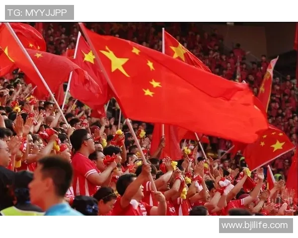 探索NPB足球的崛起与发展对中国足球的启示与影响