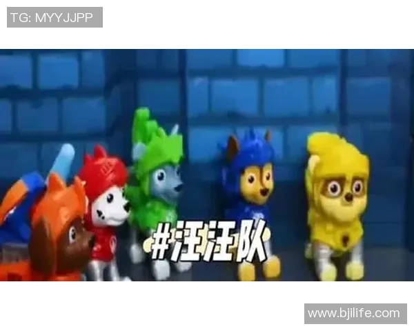 狗狗足球赛场上的精彩瞬间与萌趣互动让人忍俊不禁 狗狗足球赛场上的精彩瞬间与萌趣互动让人忍俊不禁