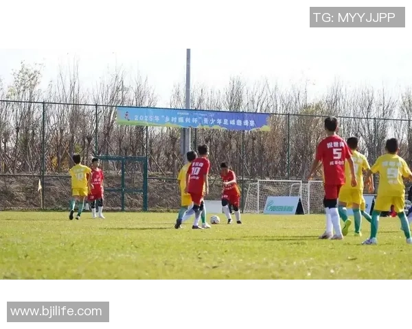 白云江夏足球:激情与梦想交织的绿茵场上演绎青春风采与团队精神